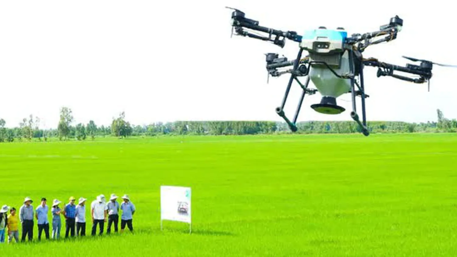 6 000 drones sont en activité dans les champs du delta du Mékong.