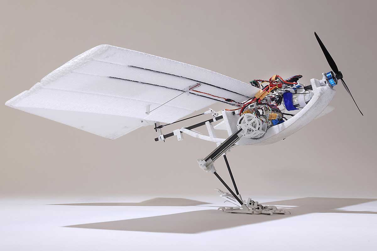 L’invention d’un drone biomimétique qui peut marcher, sauter et voler comme un corbeau