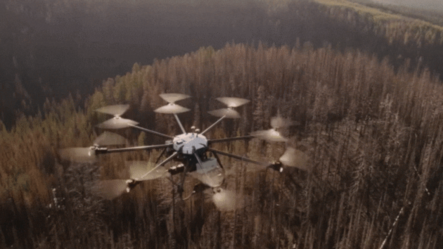 Reboiser le Québec après les incendies: les drones à la rescousse