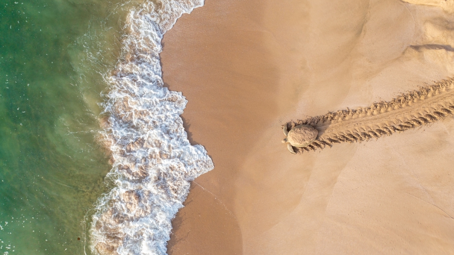 Les clichés aériens lauréats du Drone Photo Awards - Portail des Îles de la Madeleine 