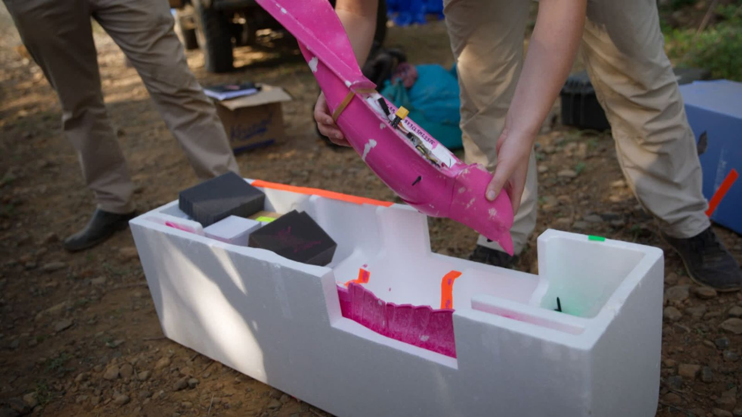 Premiers essais d'un drone flamant rose pour ne pas effrayer les oiseaux