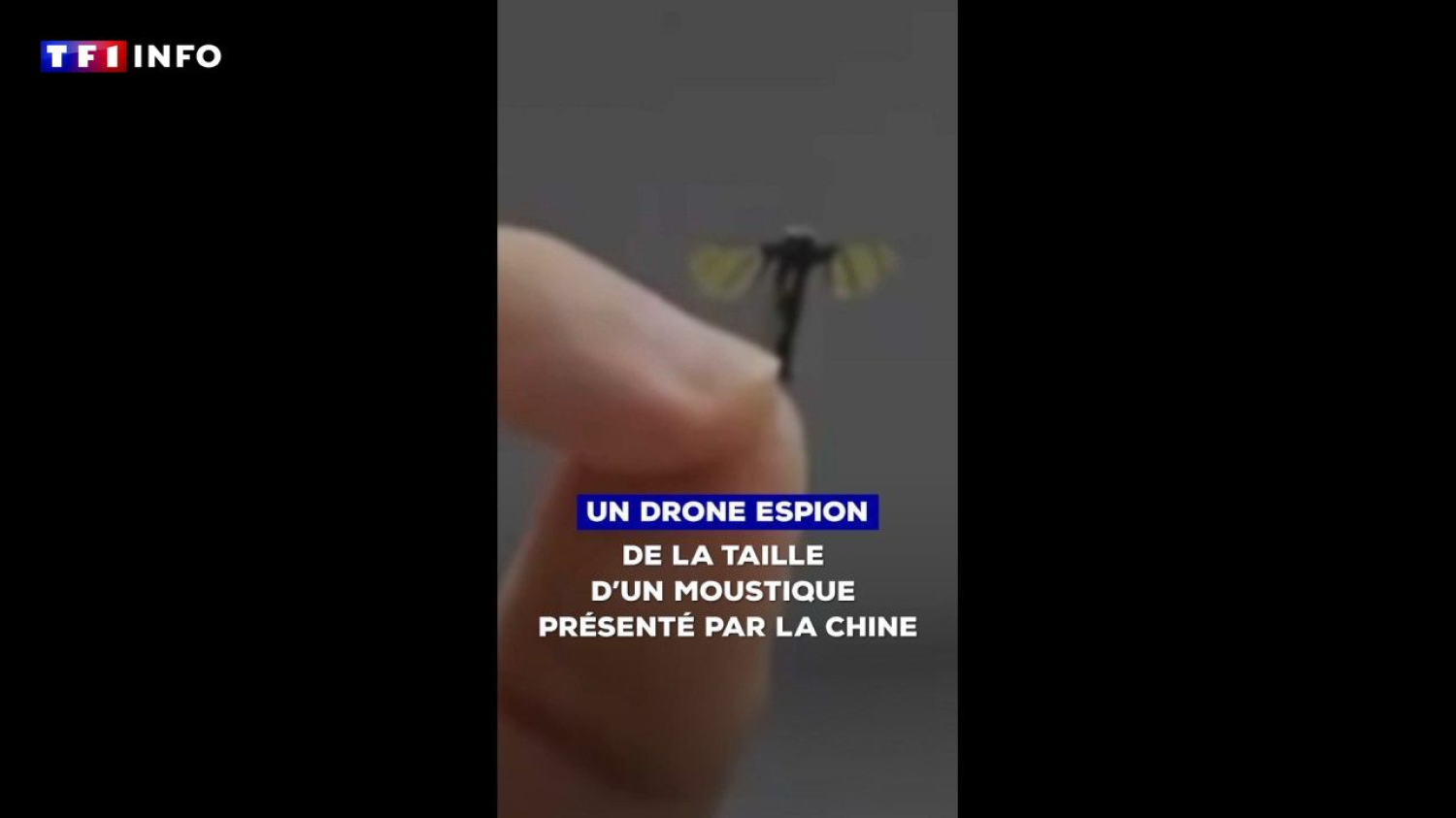 Un drone espion de la taille d'un moustique : l'incroyable innovation dévoilée par la Chine 