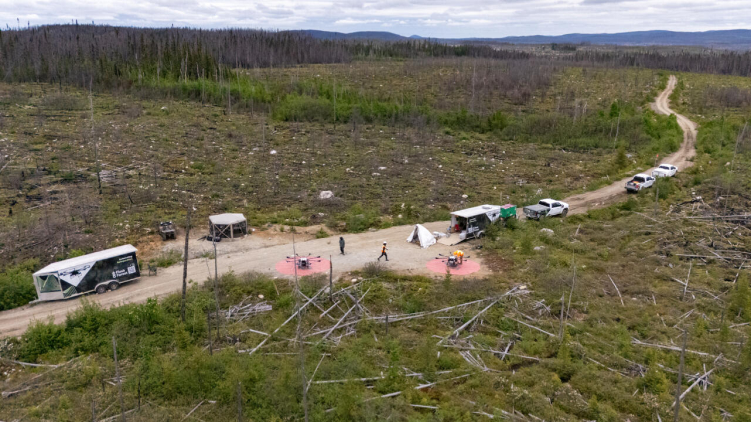 Reboiser après les incendies, des drones à la rescousse au Canada