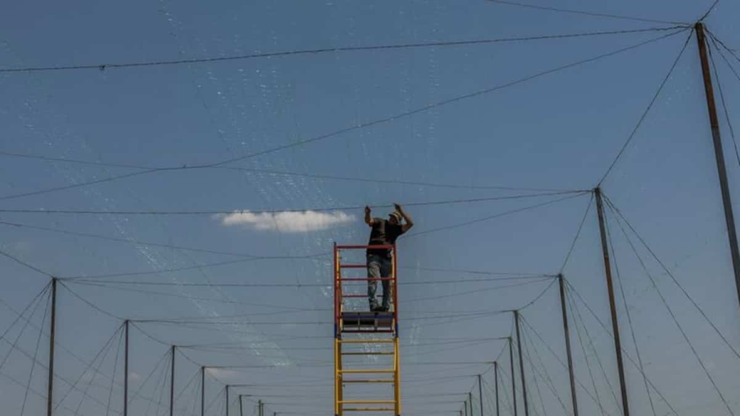 Les routes ukrainiennes se couvrent de filets