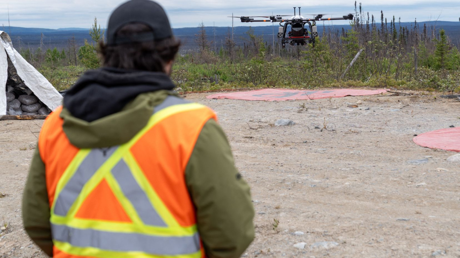 Reboiser après les incendies, des drones à la rescousse