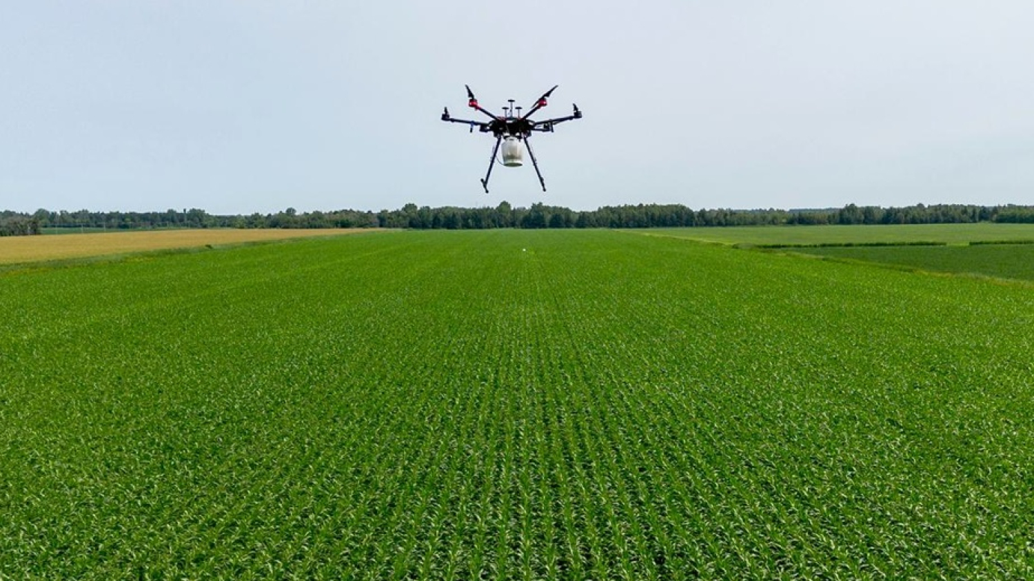 Dossier | L’envol des drones agricoles (2 articles)