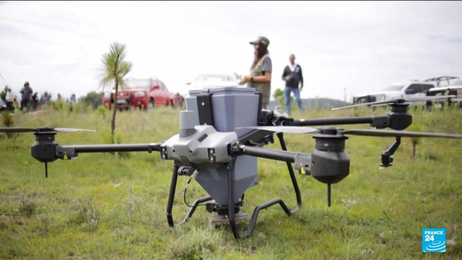 Mexique : faire renaître la forêt grâce aux drones