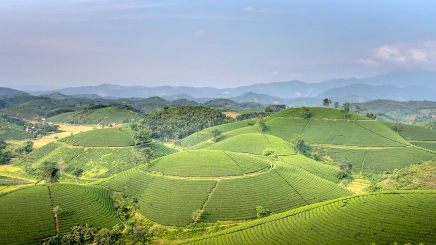 Ce drone DJI Mini 3 avec caméra 4K effraie de nombreux modèles hors de prix