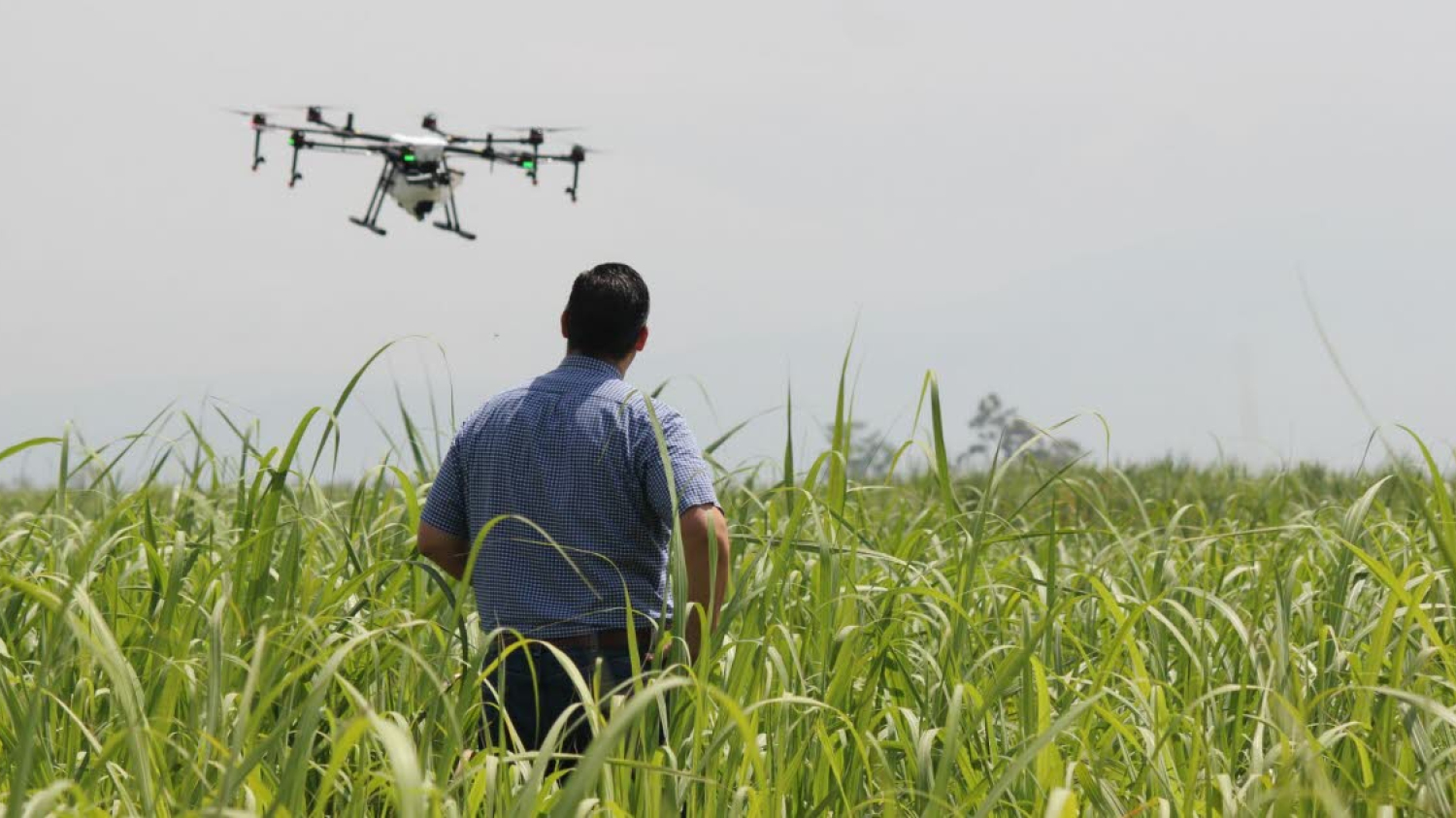 Insolite. Il pensait abattre un drone de cambrioleurs, c’était celui de la mairie