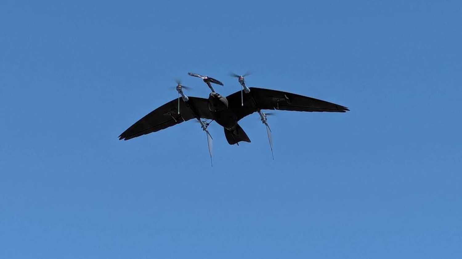 « En quatre minutes, les oiseaux partent » : comment ce drone-faucon fabriqué en France protège les vignes et