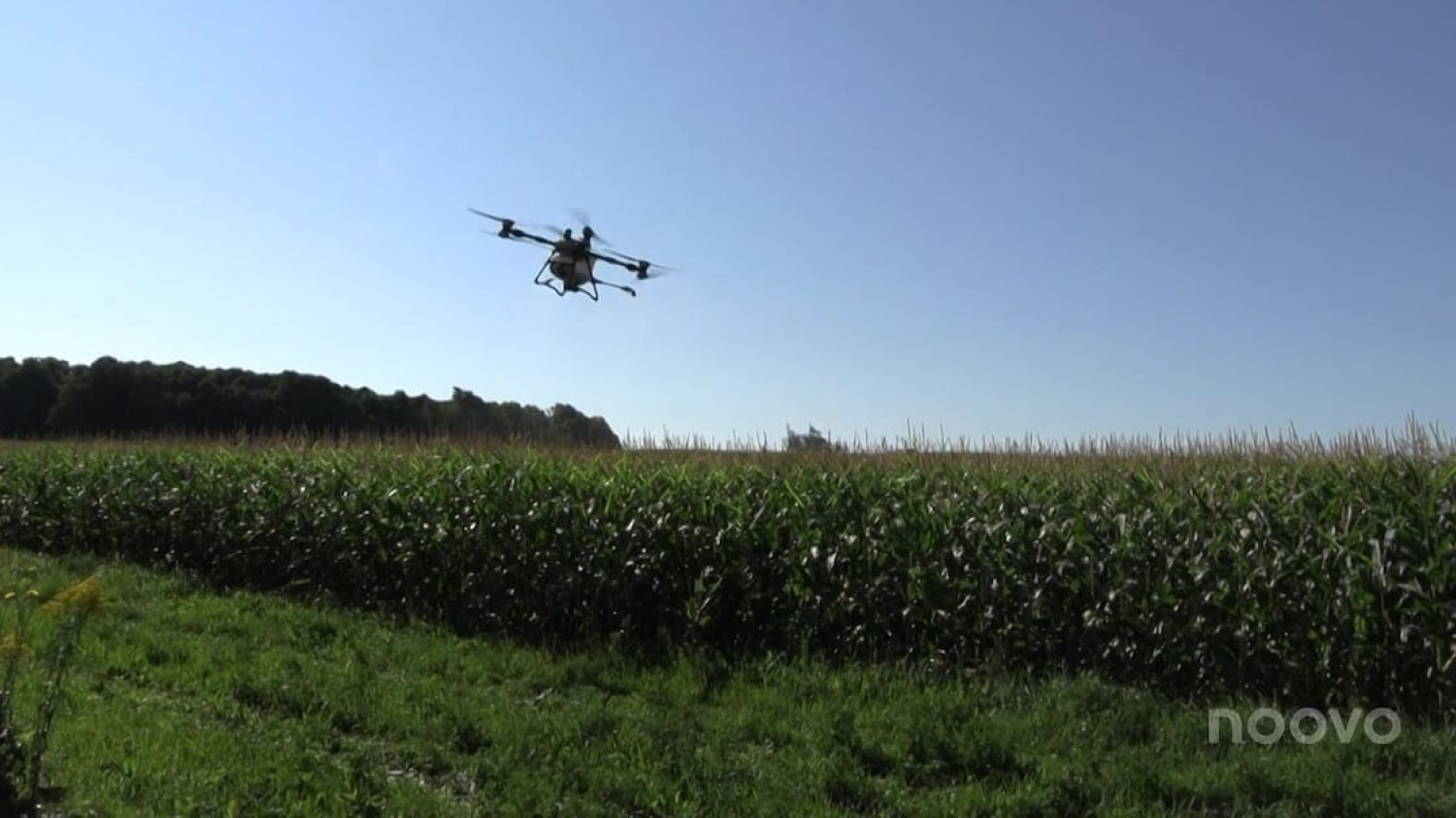 «Plein d’avantages»: le drone agricole de plus en plus présent dans les champs du Québec