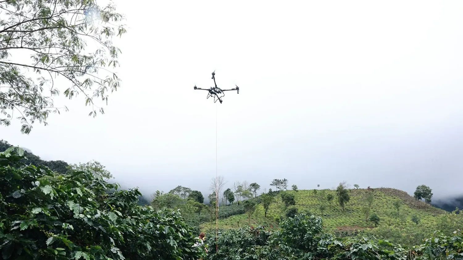 Introduction des drones dans l'agriculture.