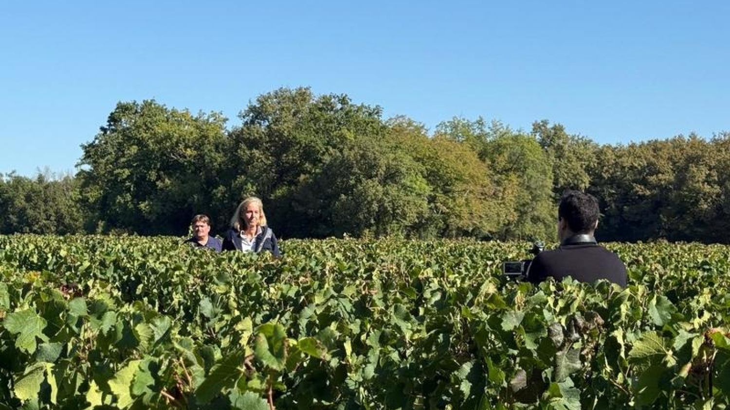 En Gironde : « Le drone est un très bon outil pour traiter la vigne »
