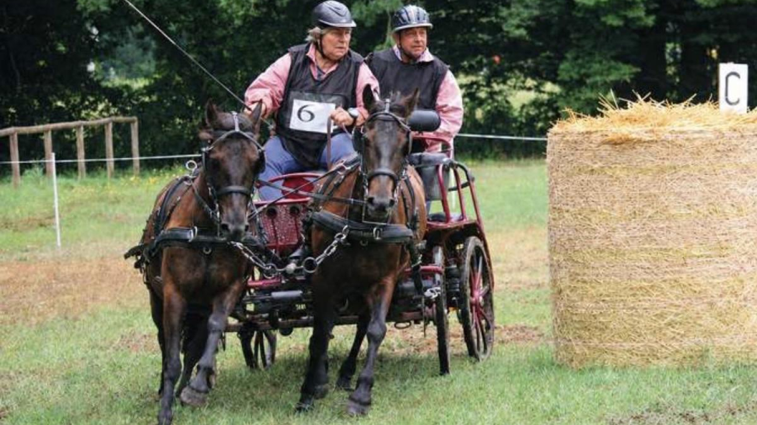 Saint-Méard-de-Drône : un week-end pour profiter du concours national d’attelage
