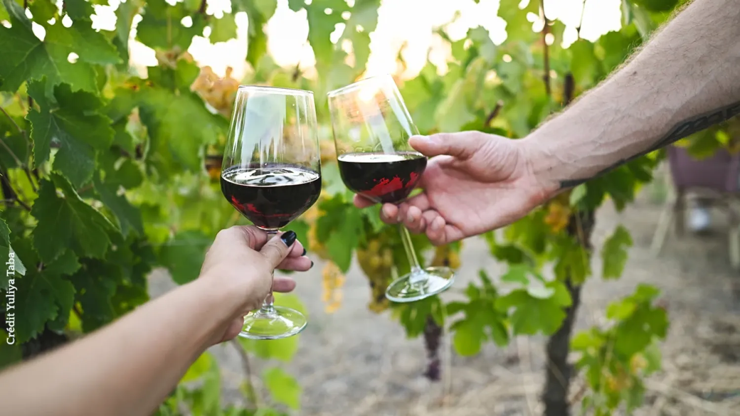 À Bordeaux, un mini-drone inspecte les cuves de vin sans les vider et une IA médaille d'or devine le goût des assemblages