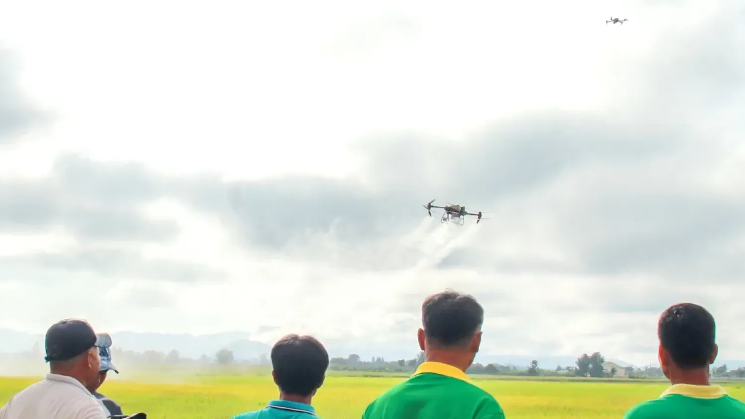 Des agriculteurs expérimentent la pulvérisation de pesticides à l'aide de drones.