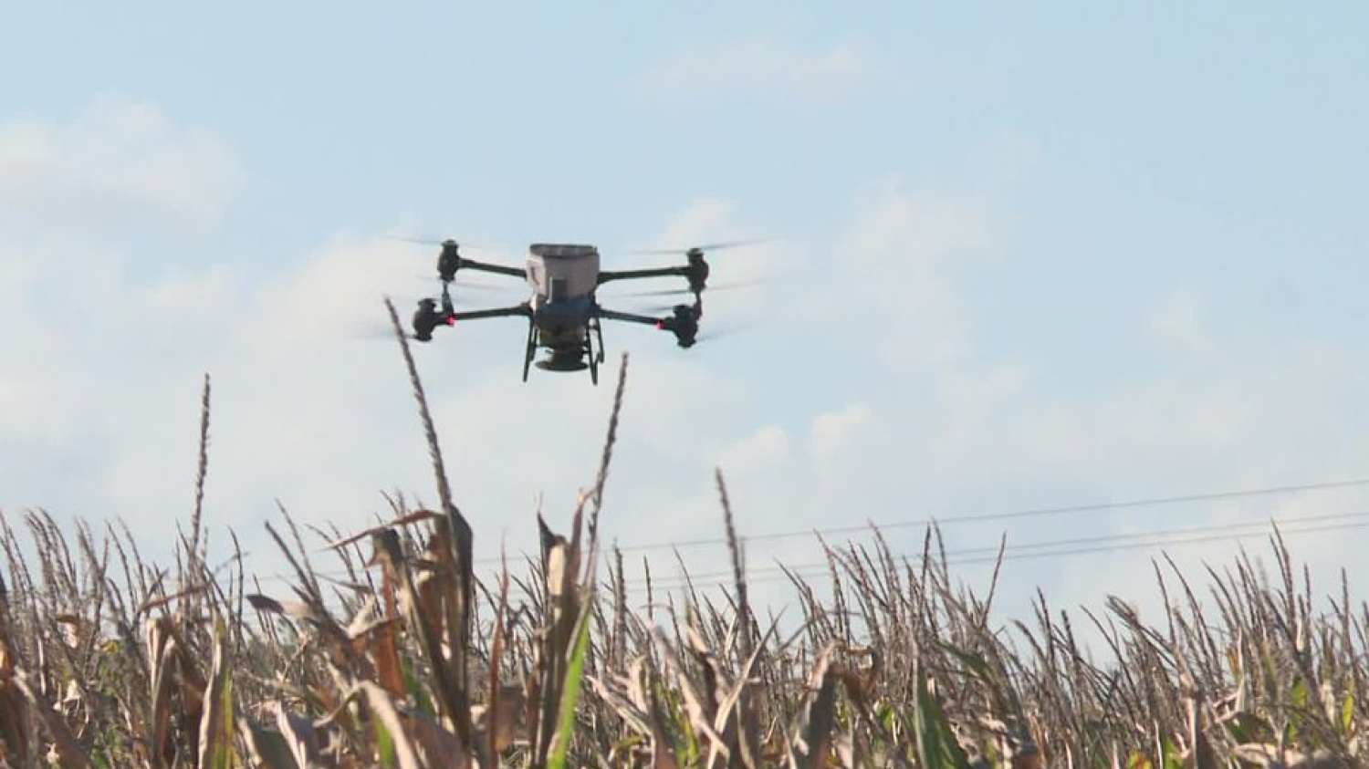 "On gagne un temps phénoménal" : des drones remplacent les tracteurs pour semer dans les champs